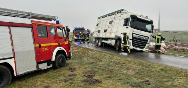 Tiertransporter umgekippt