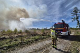 Waldbrand auf dem Rietkopf