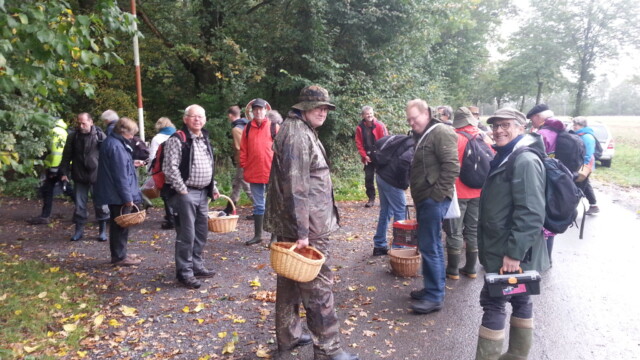 Treffen der Westf. Pilzfreunde - Oktober 2017