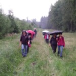 Kleine Abendwanderung 14.6.18