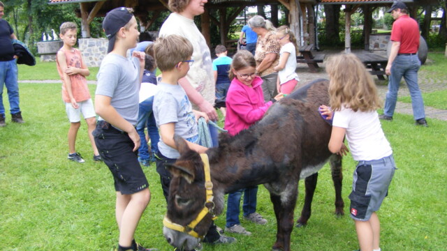 Tierischer Nachmittag 17.6.18