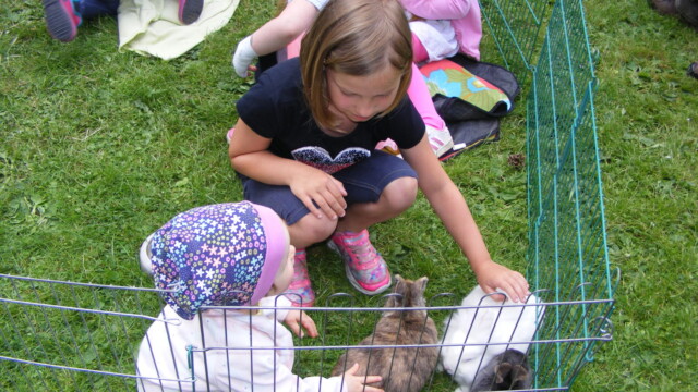 Tierischer Nachmittag 17.6.18