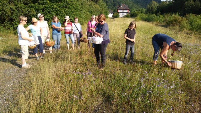 Kräuterwanderung am 19.7