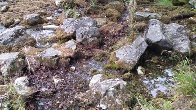 (fast) ausgetrocknete Almequellen Sommer 2018