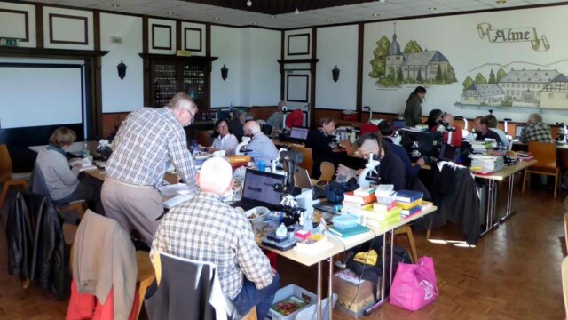 Pilztagung der westf. Pilzfreunde im Oktober