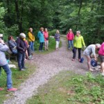 Achtsamkeitswanderung mit Sigrid Bork (ALME AG) am 16.7.