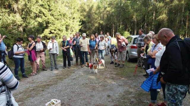 Spätsommerwanderung mit Doris & Alfred Seifert (Alme AG) - 17.9.