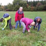 Beinwell-Kräuterwanderung mit Kirsten Schodrok - 8.10.
