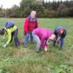 Beinwell-Kräuterwanderung mit Kirsten Schodrok - 8.10.