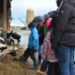 Adventstage auf dem Seilerhof am 3. Adventswochenende