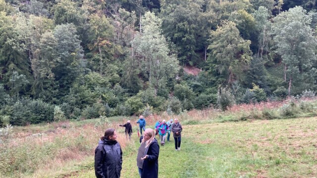 Go meditative Veranstaltung der ALME AG am 3.9.