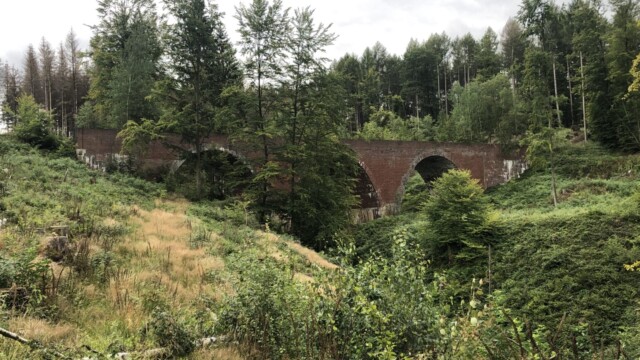 Wanderung durch das MUNA Gelände - im August