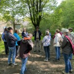 Geburtstag der Waldroute