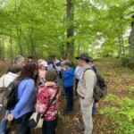 Geburtstag der Waldroute